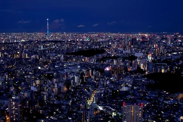 Fotobehang スカイツリーを入れた東京の夜景 © kamonobubu