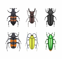 Color beetles icons