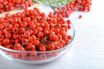 Fresh ripe rowan berries in glass bowl on white wooden table, closeup