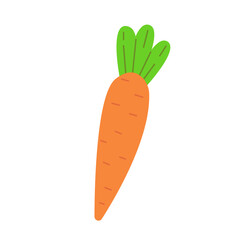 Carrot with tops in a cute cartoon style. Vector food illustration.