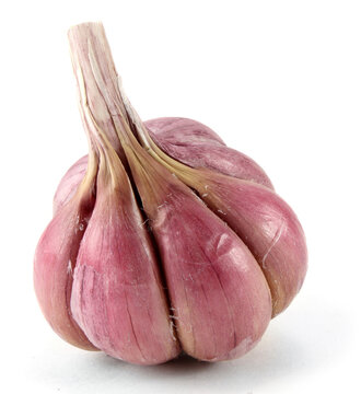 Red garlic