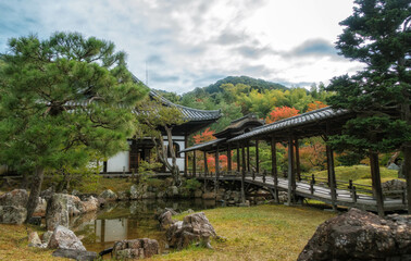 Fototapeta na wymiar 秋の京都、高台寺の庭園と開山堂、観月台、偃月池が見える風景