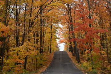 Obraz premium A country road in autumn, Québec, Canada