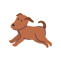 cute dog running