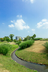 都会の川