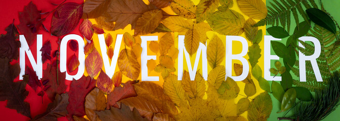 Colorful sign November made of natural objects. Seasonal leaves arranged on multicolored papers.