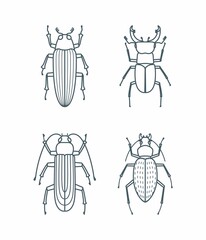 A set of simple outline beetle icons