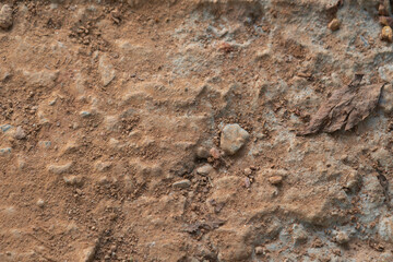 Close-up of ground blur For as a background and decoration