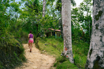 Fototapeta na wymiar dominican mountain trail in spring jungle forest. The photo shows a trail in the jungle between the mountains. The trail is pedestrian, but it also serves for the movement of horses. 