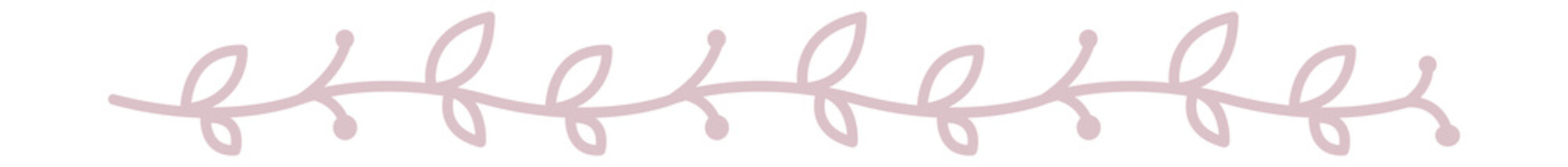 Elegant vine border. Text break in cute doodle style © LadadikArt