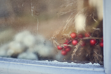 Red berries behind the window, holiday decoration