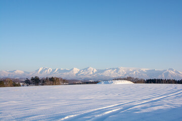 Fototapeta na wymiar 冬の夕暮れの雪原と雪山　十勝岳連峰 