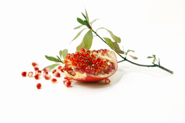 신선하고 깨끗한 석류 나무와 붉은 석류 알갱이
