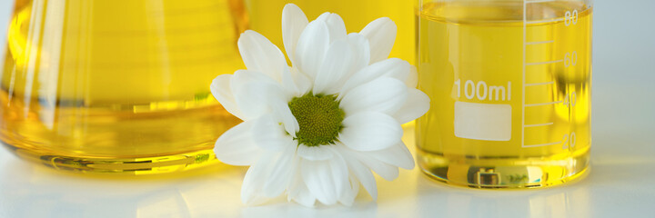 Chemical flasks with yellow cosmetic oil standing near white chamomile flower closeup