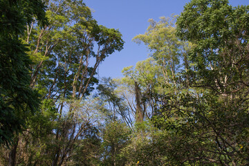Barreiro, touristic district of Araxá