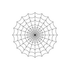 spider web. spider. halloween party. vector illustration