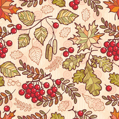 Autumn leaves seamless pattern Vector illustration of autumn leaves seamless pattern. Fall Autumn leaves Hello autumn, mountain ash, maple, oak, birch fall leaves 