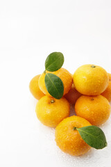 신선한 오렌지,귤,천혜향,레드향,잎
