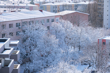 Fresh snow on tree branches and residential building roofs in Bucharest, Romania. Urban Winter in Europe.