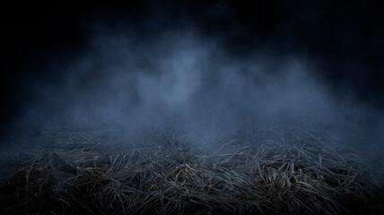 Dark street, wet asphalt, reflections of rays in the water. Abstract dark blue background, smoke, smog. Empty dark scene, neon light, spotlights. 