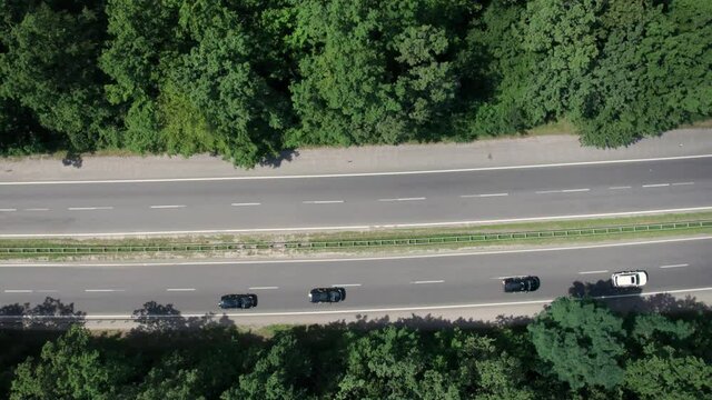 A motorcade of the cars on the highway, the forest on background. High quality. 4k