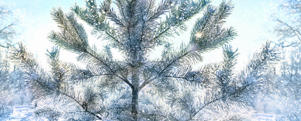 snowy pine tree, abstract natural winter background. Christmas tree on frosty snowy landscape. festive winter season. New Year and Christmas holiday concept. banner