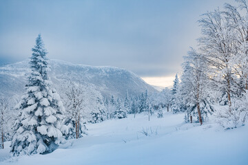 Tranquil scenery in the mountains after the snowstorm, Gaspesie, QC, Canada