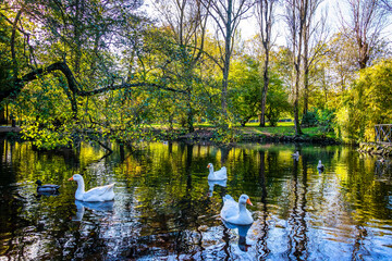 City Park of Aviles - Spain with autumn foliage in a sunny day. City park with ducks in the lake. Ferrera Park in Aviles, Spain