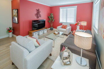 Interior design of a luxury living room