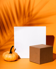 Abstract background composition with geometric shapes and thanksgiving pumpkin decor. Product stage...