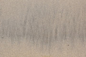 sand texture background- Grain