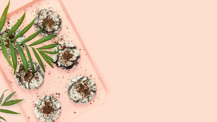 Natural home made brownie cookies. Food banner with hande made chocolate cookies on a pink tray with palm leaves on a pink background with copy space. Sweet homemade pastries