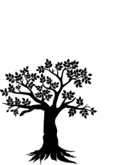tree, nature, vector, branch, leaf, spring, illustration, plant, season, silhouette, summer, autumn, flower, leaves, art, design, blossom, winter, cherry, fall, drawing, symbol, environment, life, dec