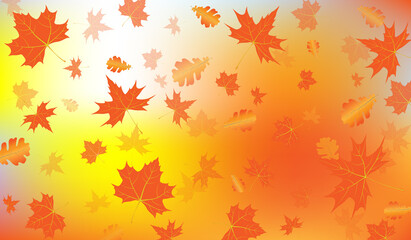 Vector illustration. Autumn leaves on rainy glass texture. concept of fall season. autumn background. orange maple leaves in rain. rainy day weather