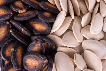 melon seeds pumpkin seeds pile color black white