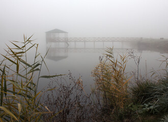 Morning on the river