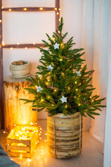 festive christmas and new year decorations	