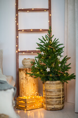 festive christmas and new year decorations	