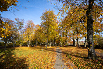 Beautiful autumn park. Autumn in Germany. Autumn trees and leaves.