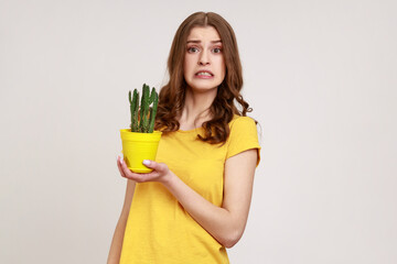 Portrait of attractive young female wearing yellow casual T-shirt holding tricky cactus in flower pot in hands and frowning face, looking at camera. Indoor studio shot isolated on gray background.