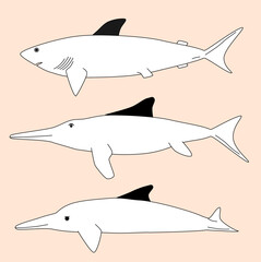 Illustration of sea animals