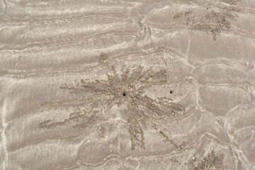 texture of sand