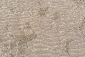 texture of the sand