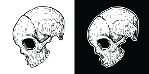 human skull illustration vector hand drawing black and white