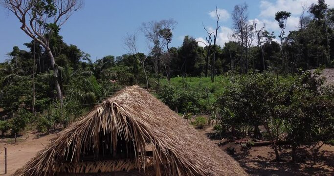 Amaz&ocirc;nia, Brasil
