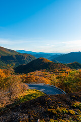 日光　紅葉したいろは坂