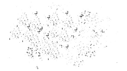 Grunge monochrome background.  The abstract texture on white background, dirt overlay or screen effect use for grunge background vintage style. Black grunge texture background.