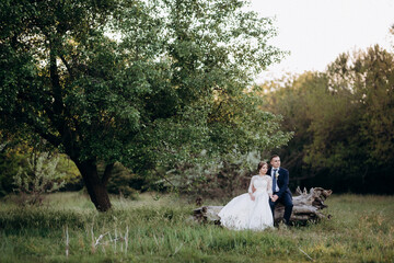 the groom and the bride are walking in the forest near a narrow river