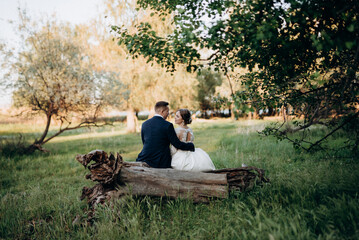 Fototapeta premium the groom and the bride are walking in the forest near a narrow river