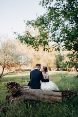 Fototapeta premium the groom and the bride are walking in the forest near a narrow river